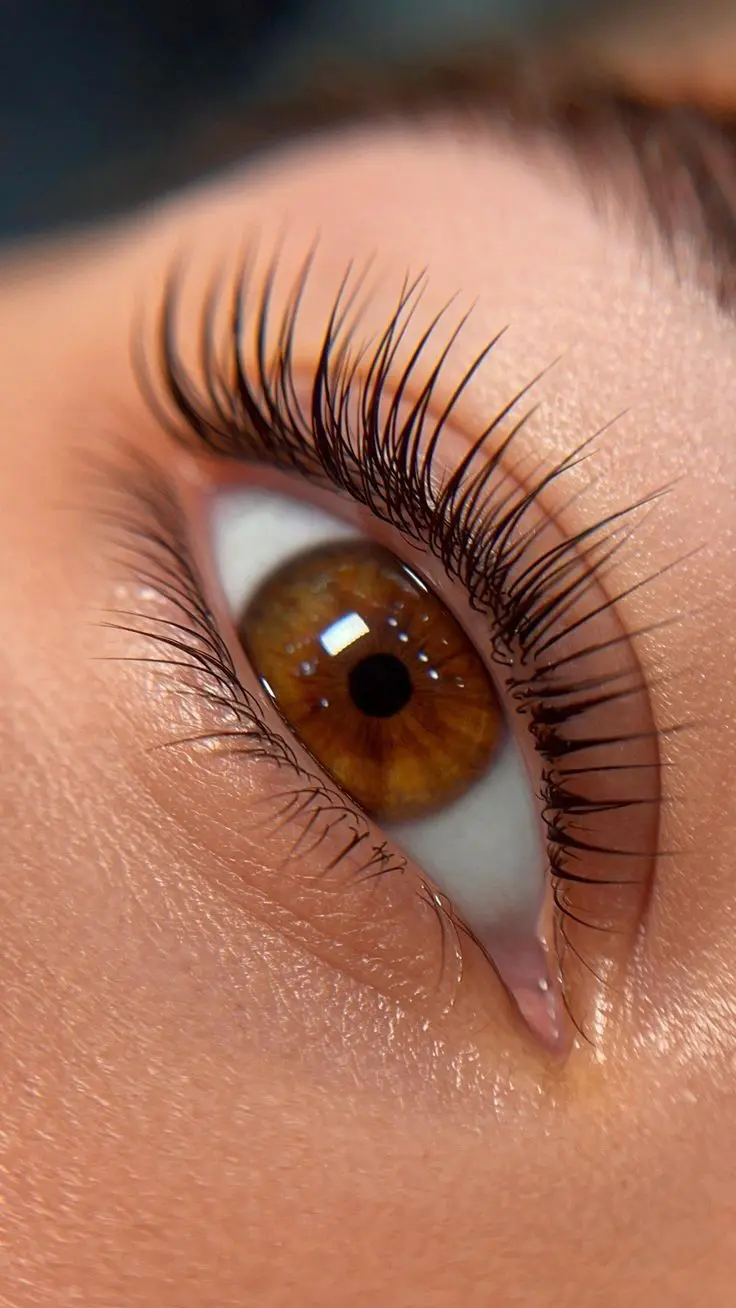 Lash artistry